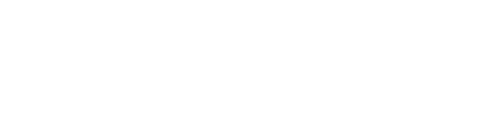 XPEL Paint Protection Film