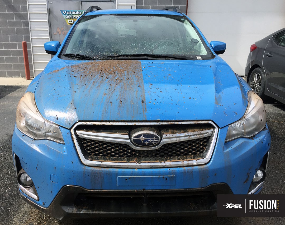 XPEL FUSION PLUS ceramic coating engineering explained subaru 50 50 1